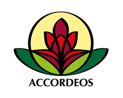 Accordeos